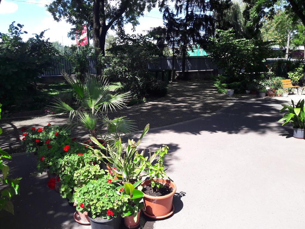 Orchidea Apartman Eger Exterior photo
